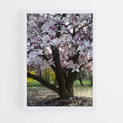 ap-magnolia-3 cadre Blanc
