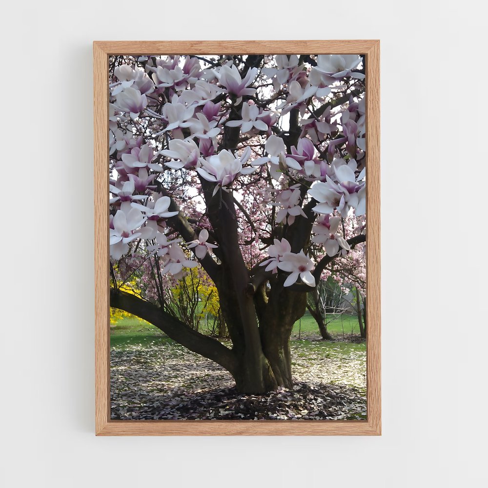 ap-magnolia-3 cadre Bois clair