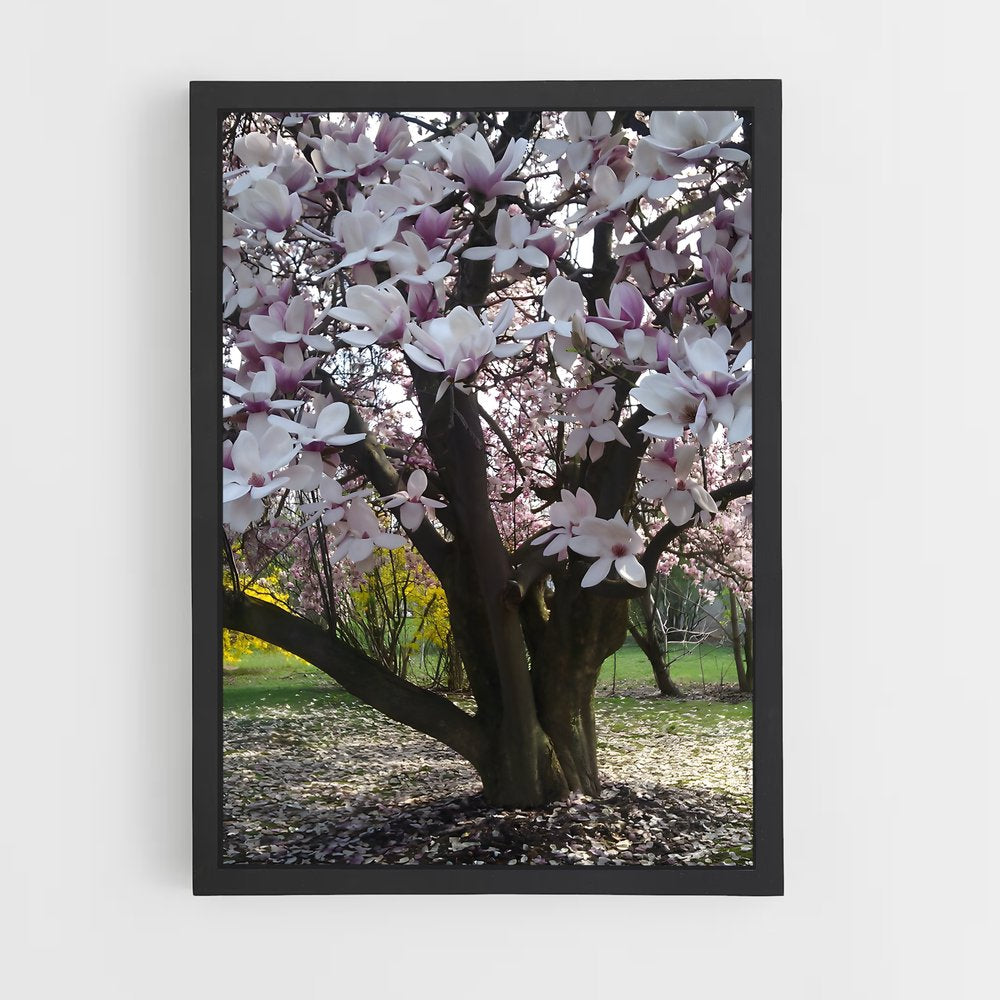 ap-magnolia-3 cadre Noir