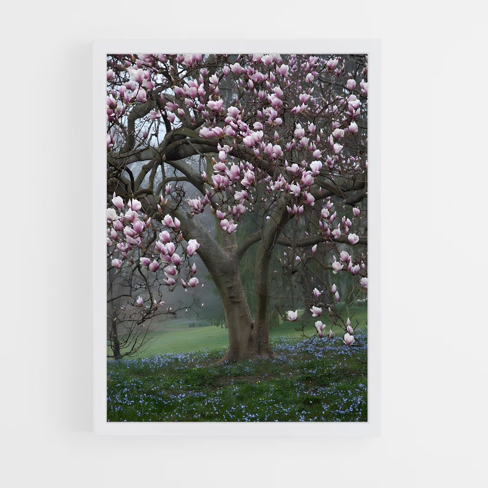 ap-magnolia-4 cadre Blanc