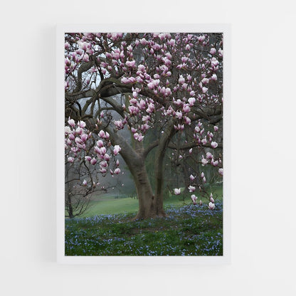 ap-magnolia-4 cadre Blanc