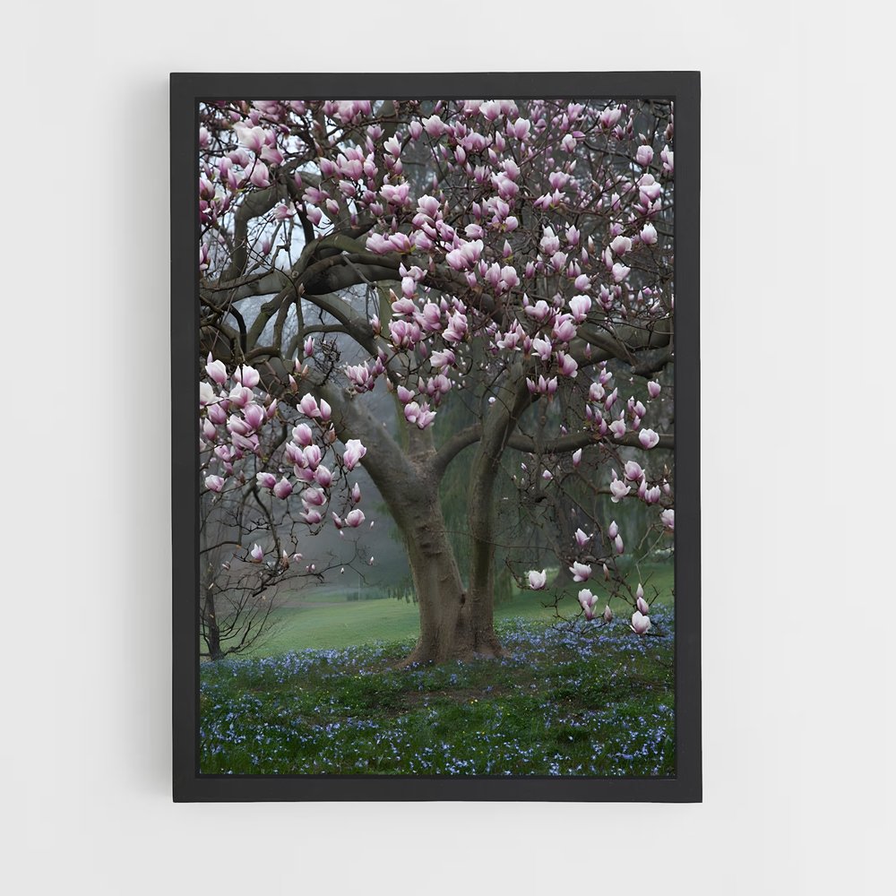 ap-magnolia-4 cadre Noir