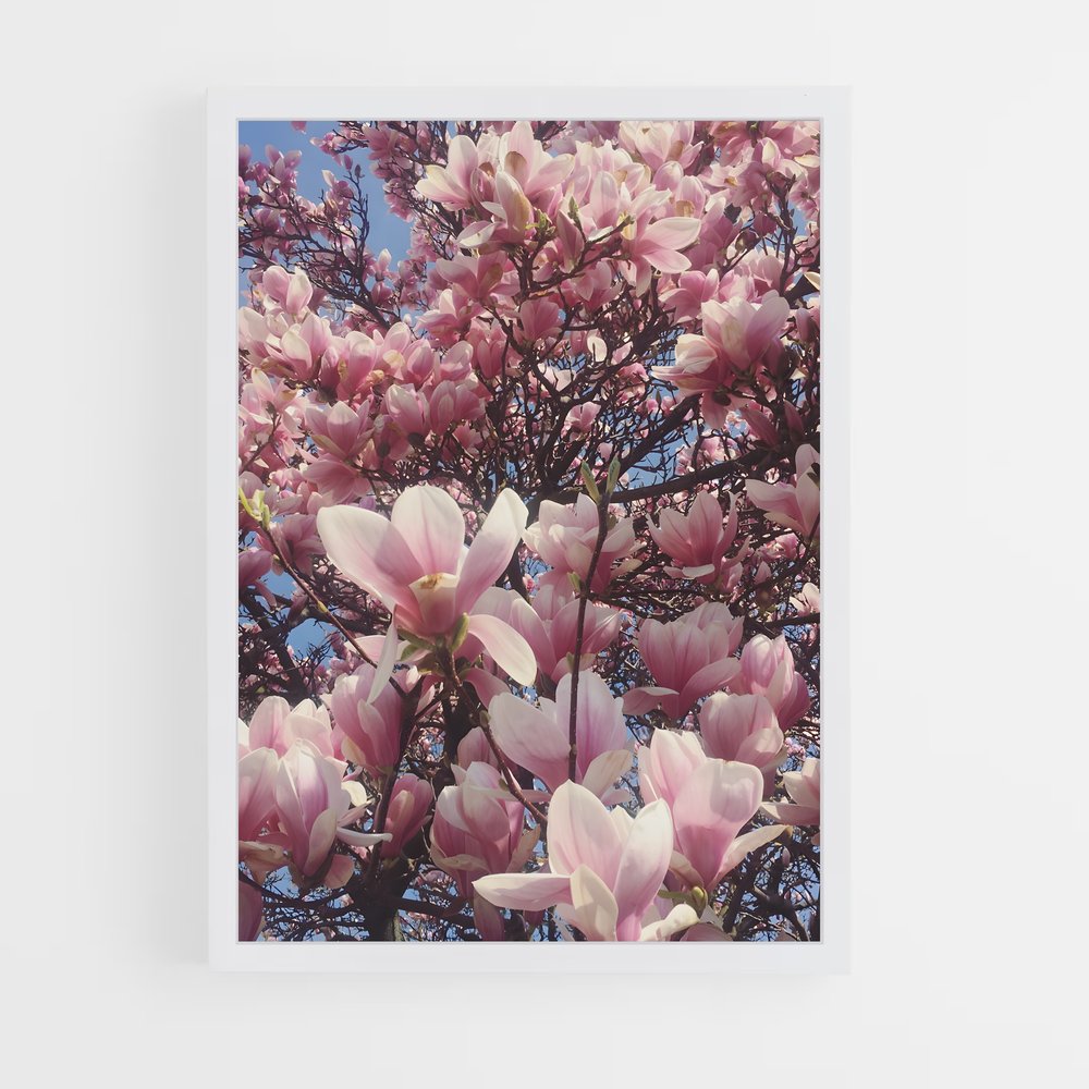 ap-magnolia-5 cadre Blanc