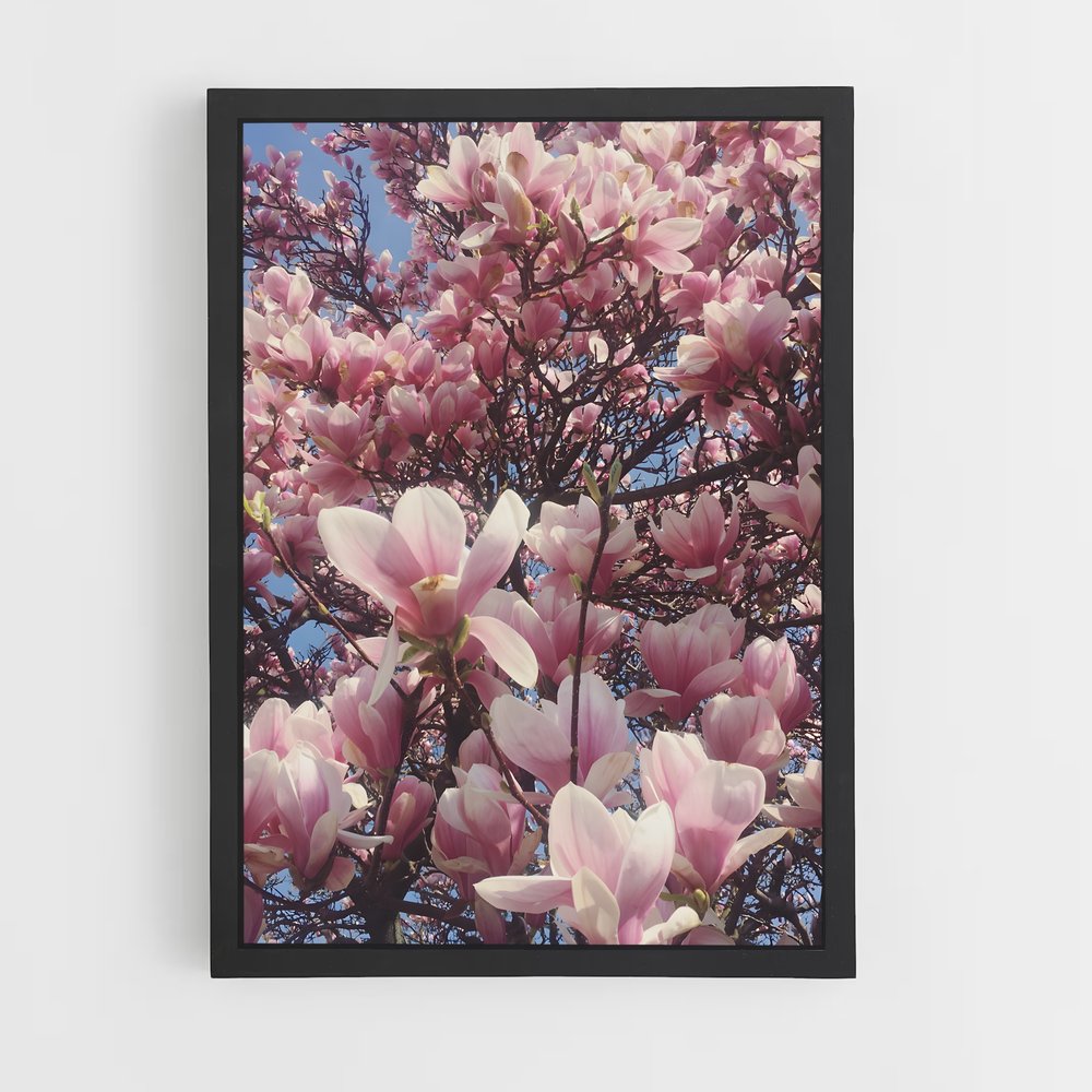 ap-magnolia-5 cadre Noir