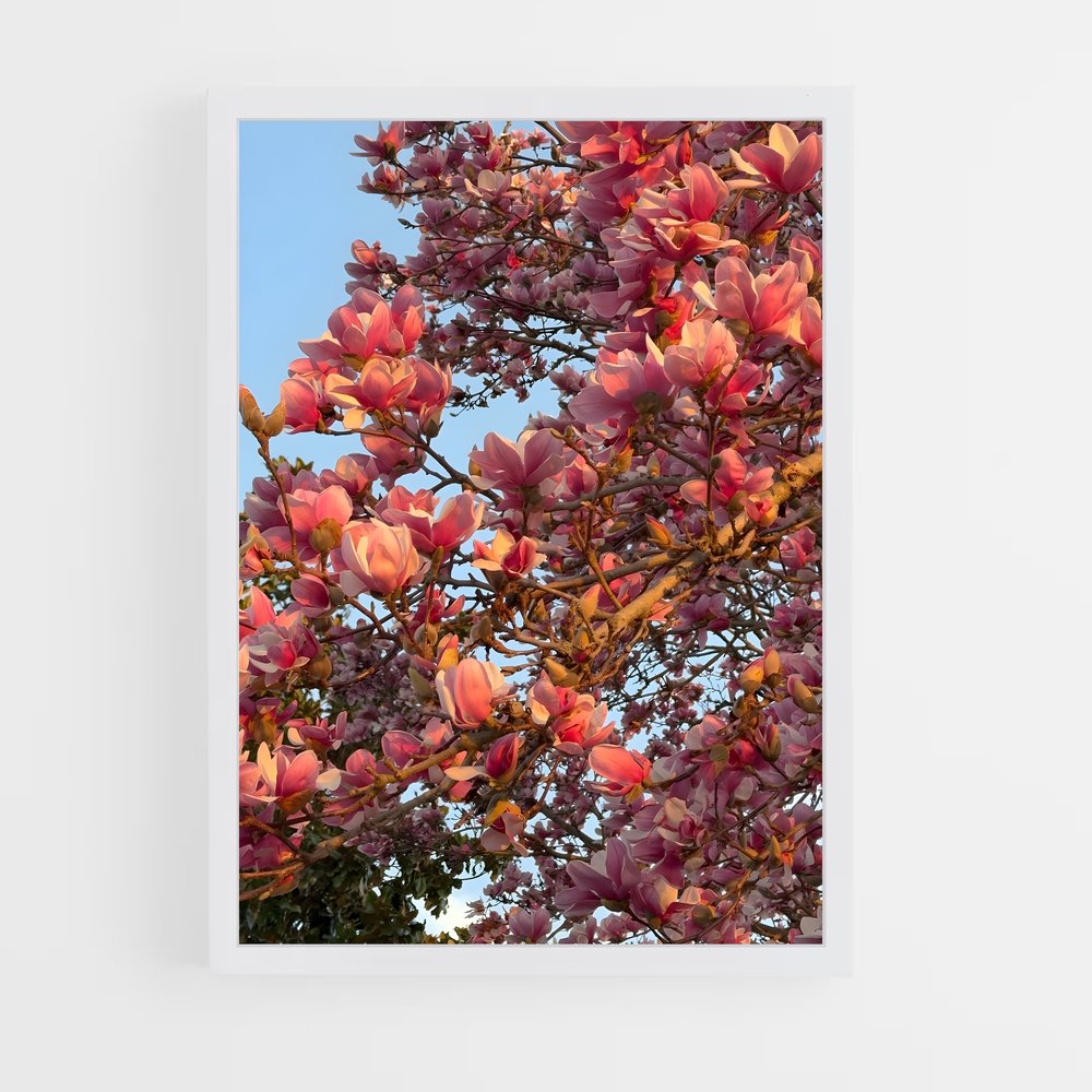 ap-magnolia-6 cadre Blanc
