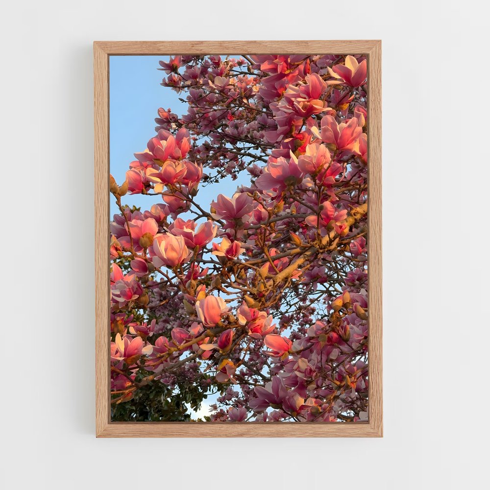ap-magnolia-6 cadre Bois clair