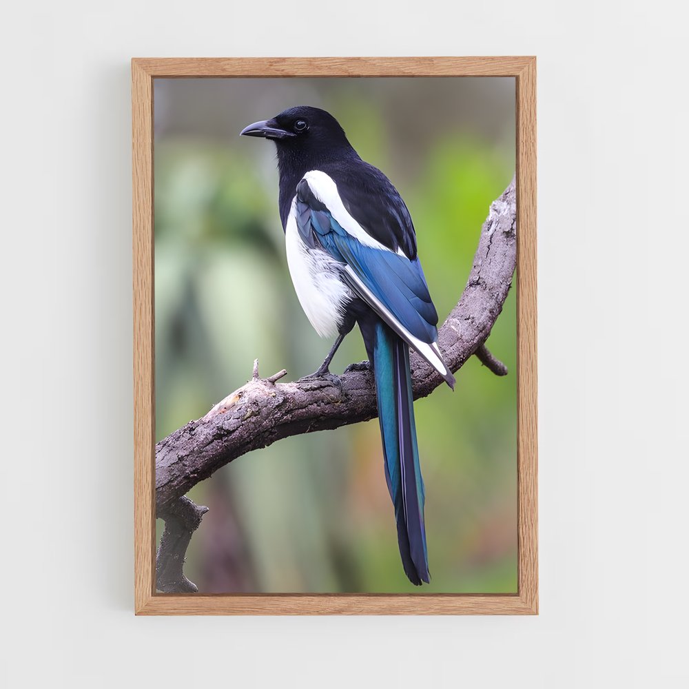 ap-magpie-1 cadre Bois clair