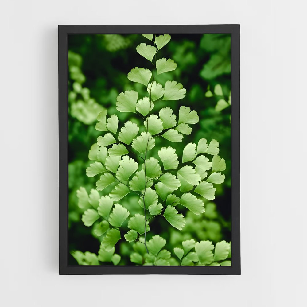 ap-maidenhair fern-1 cadre Noir