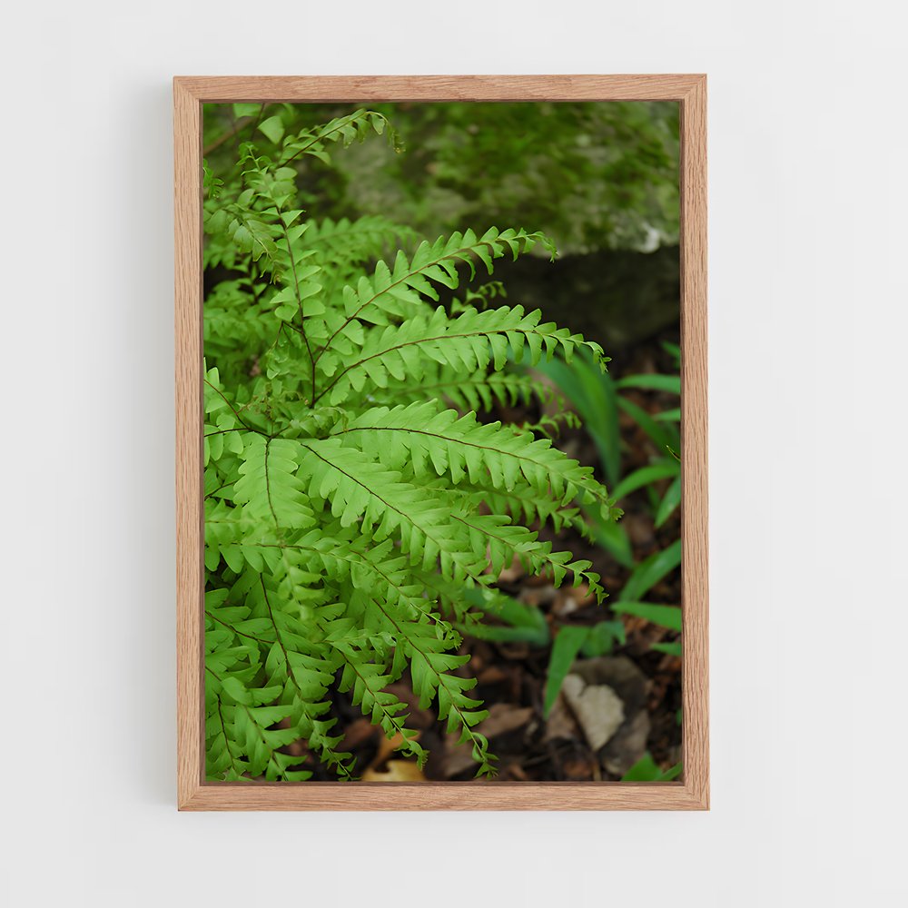 ap-maidenhair fern-3 cadre Bois clair