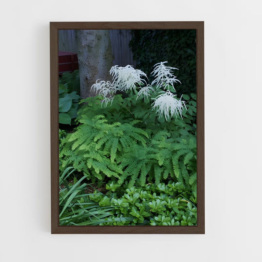 ap-maidenhair fern-4 cadre Bois foncé