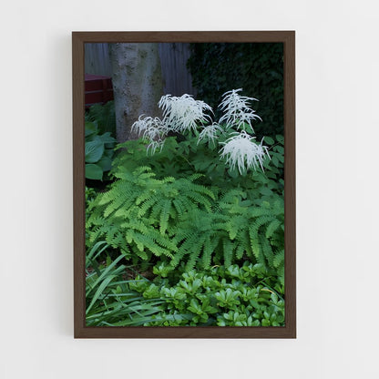 ap-maidenhair fern-4 cadre Bois foncé