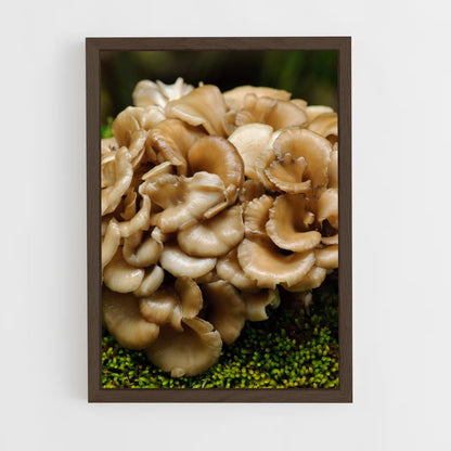 ap-maitake-1 cadre Bois foncé