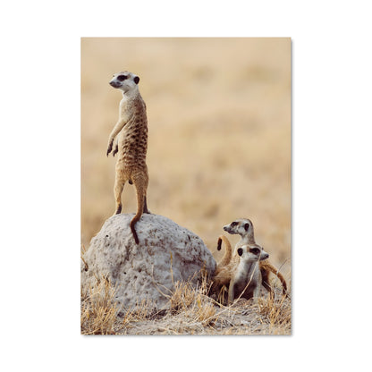 Poster Sur les Rochers de Makgadikgadi