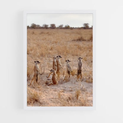 ap-makgadikgadi pans-4 cadre Blanc