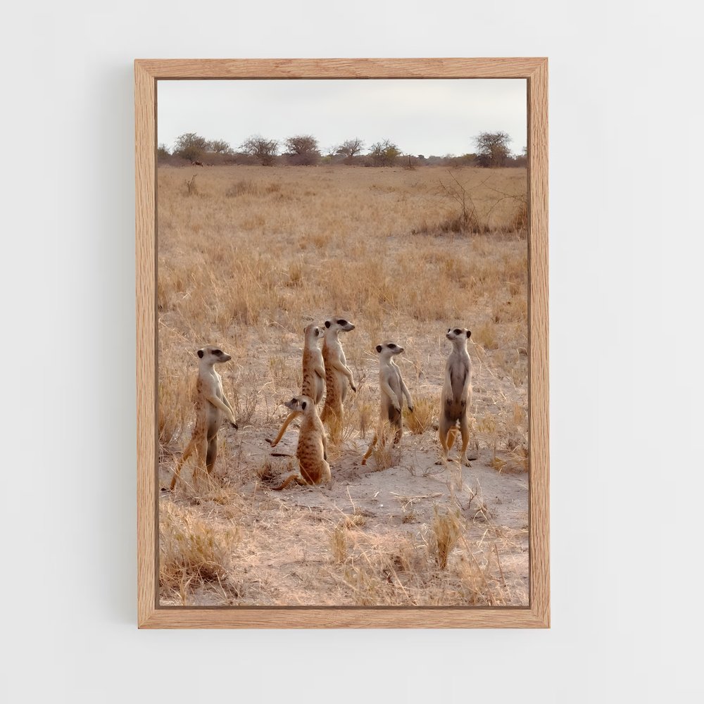 ap-makgadikgadi pans-4 cadre Bois clair