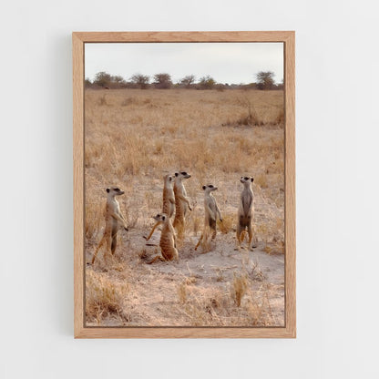 ap-makgadikgadi pans-4 cadre Bois clair