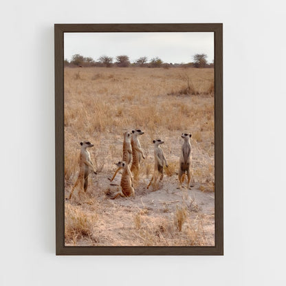 ap-makgadikgadi pans-4 cadre Bois foncé