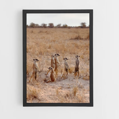 ap-makgadikgadi pans-4 cadre Noir
