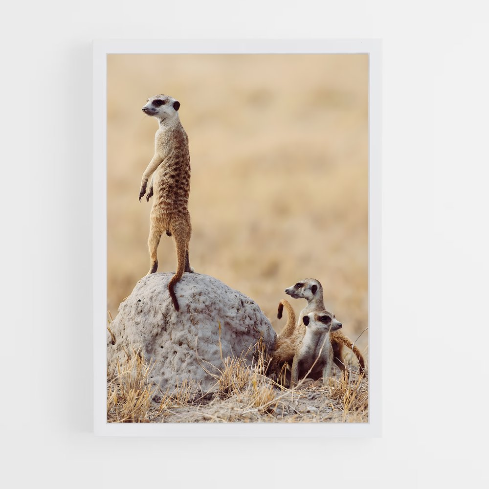 ap-makgadikgadi pans-8 cadre Blanc