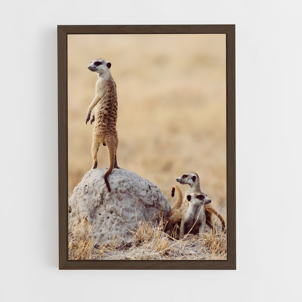 ap-makgadikgadi pans-8 cadre Bois foncé