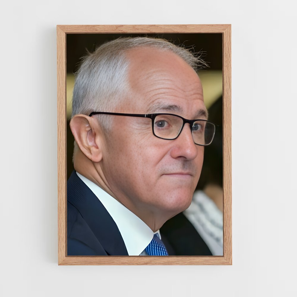 ap-malcolm turnbull-1 cadre Bois clair