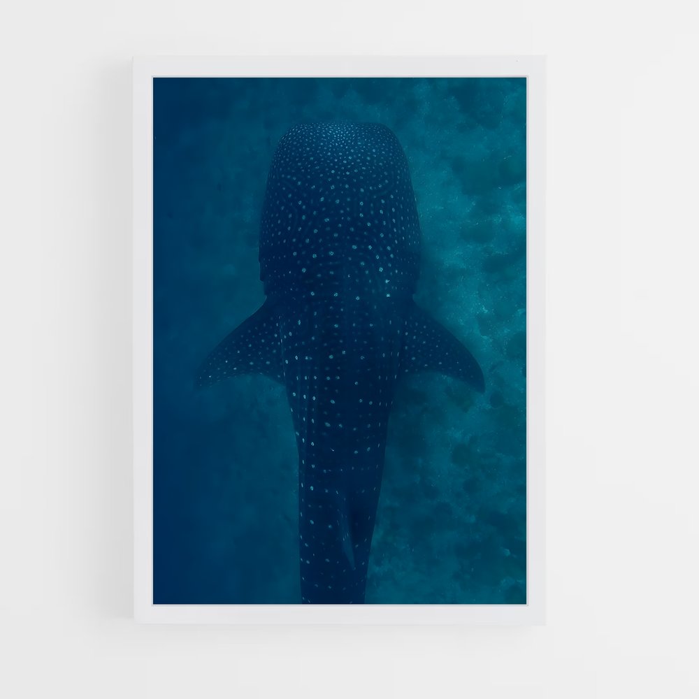 ap-maldives diving-8 cadre Blanc