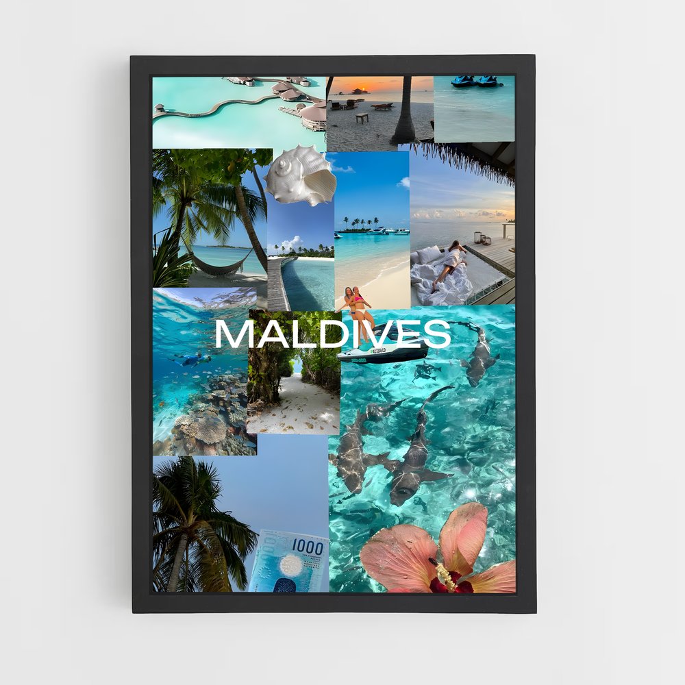 ap-maldives islands-4 cadre Noir