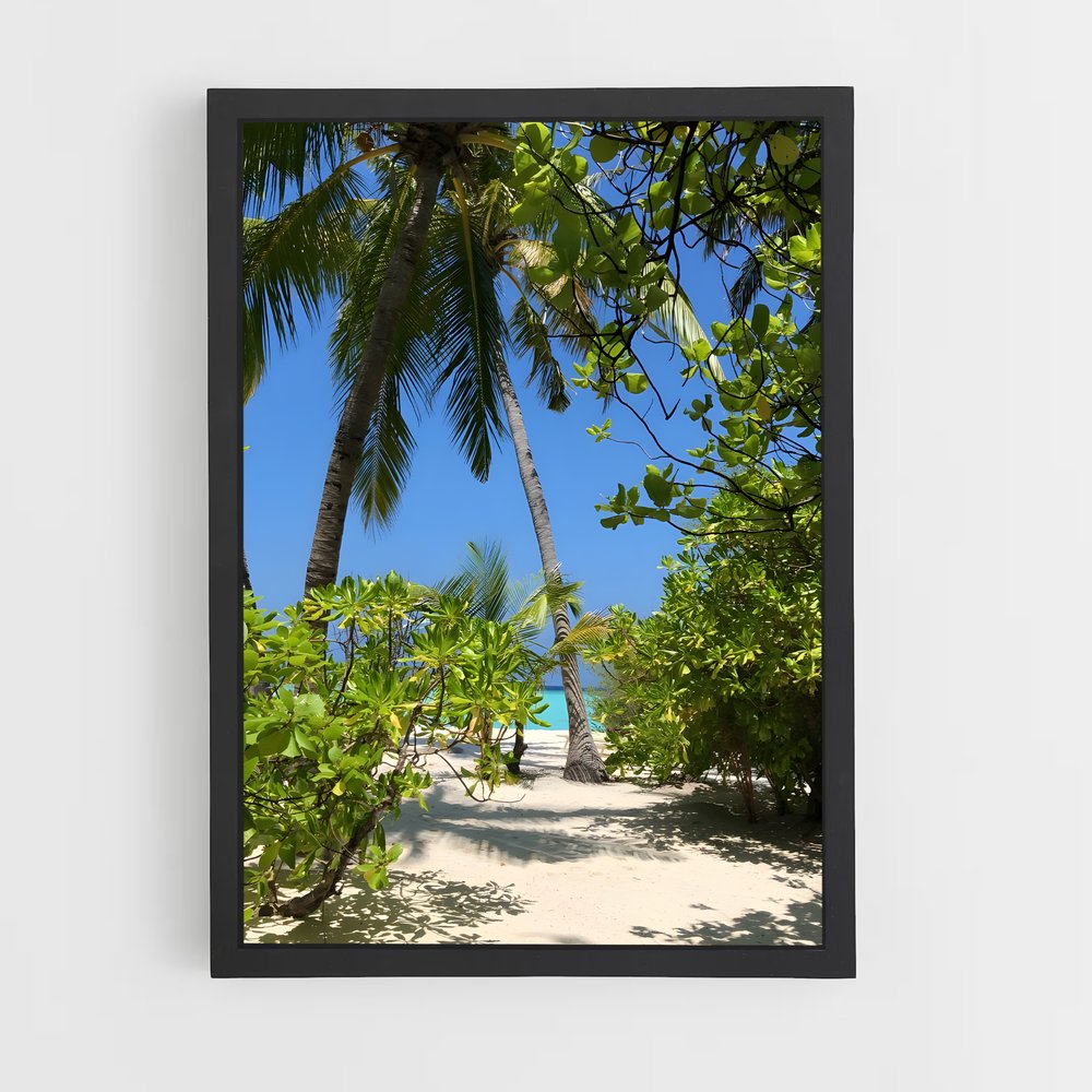 ap-maldives islands-5 cadre Noir