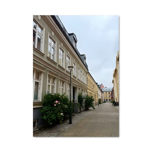 Poster Rue de Malmo