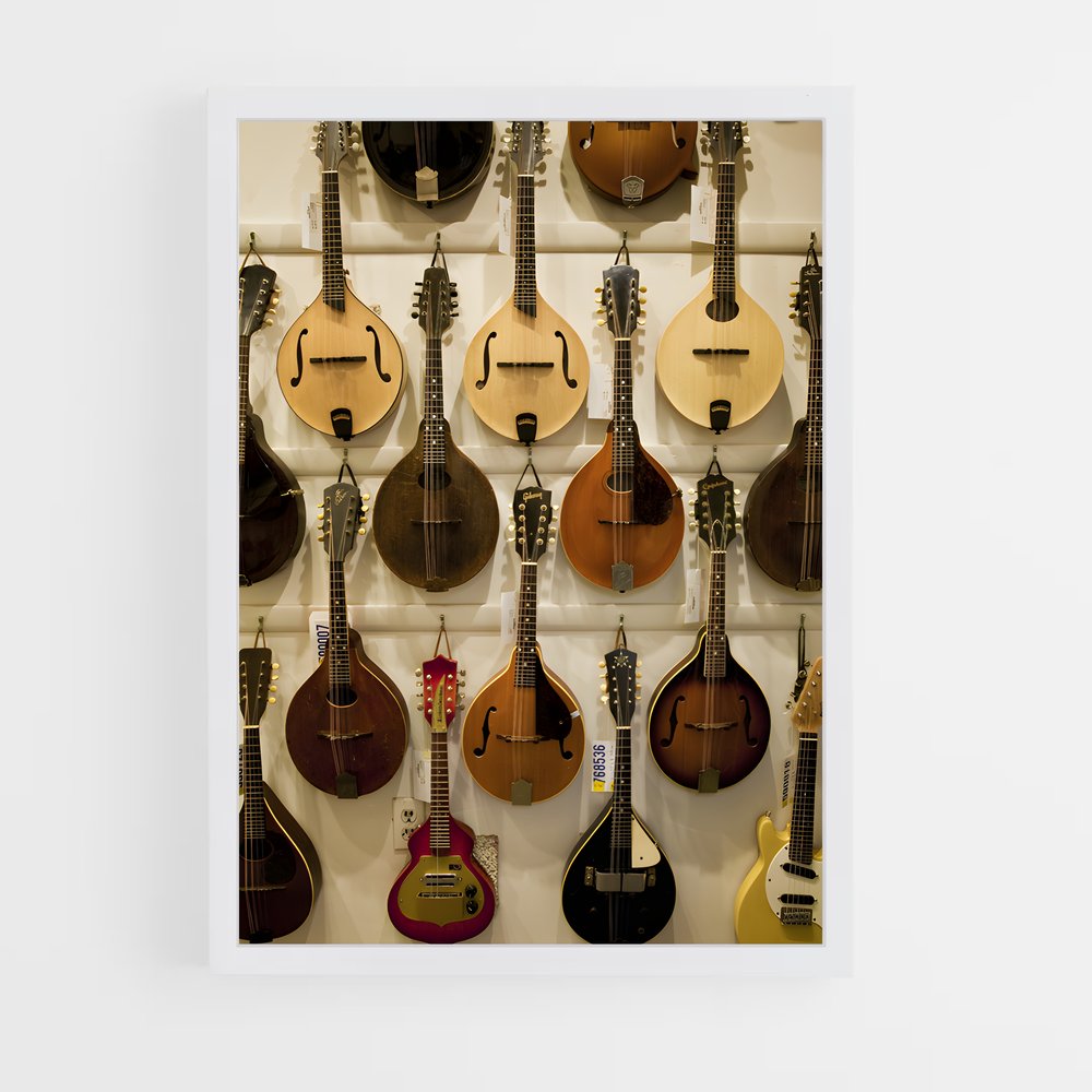 ap-mandolin-2 cadre Blanc