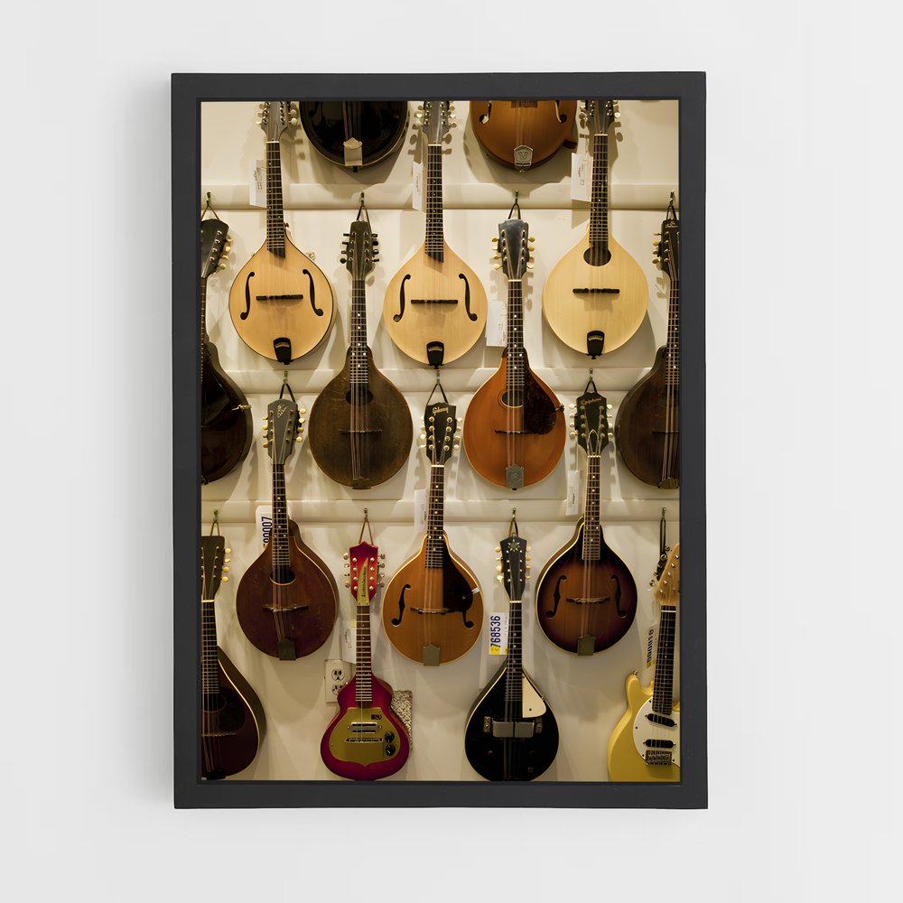 ap-mandolin-2 cadre Noir