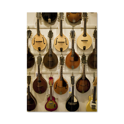 Poster Harmony des Cordes