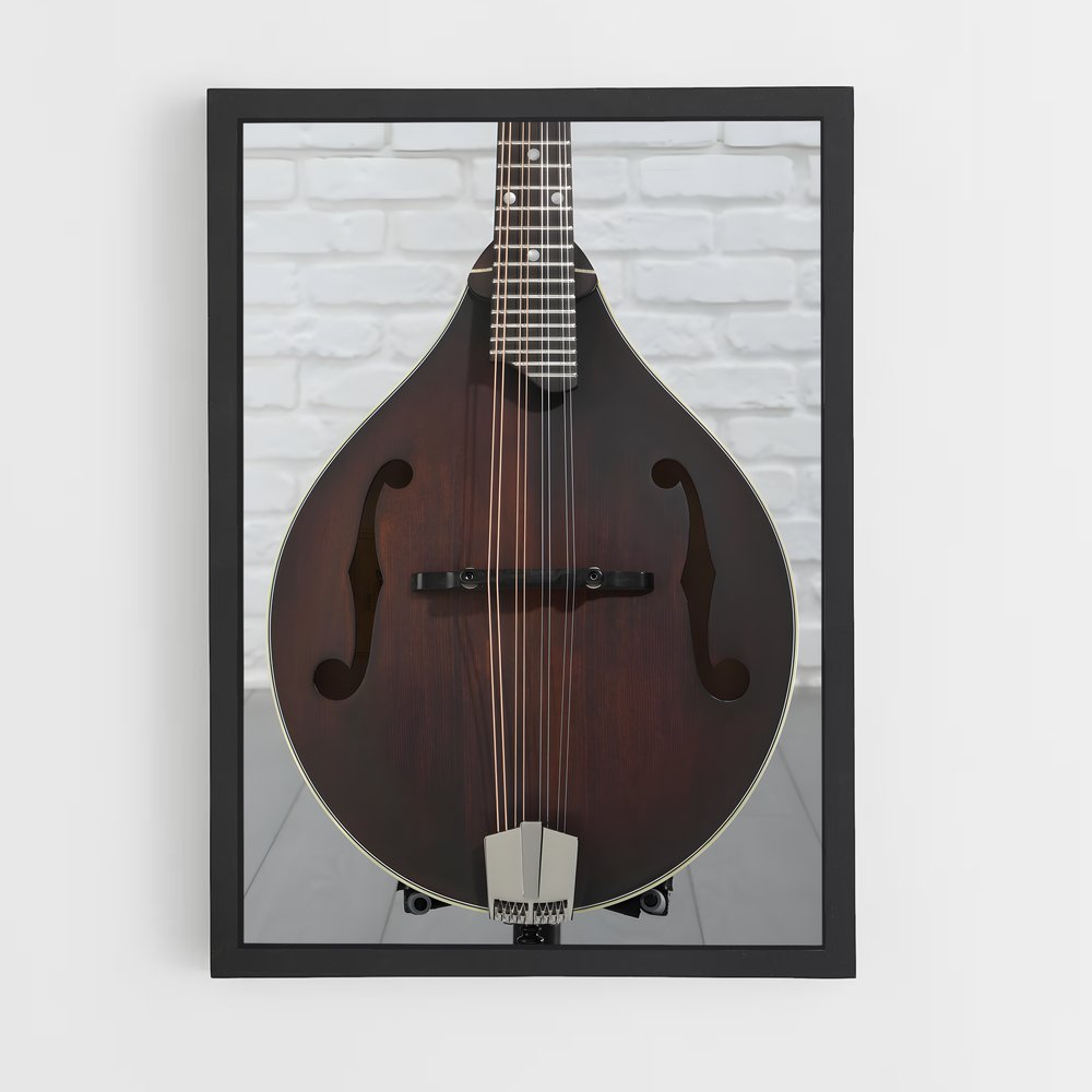 ap-mandolin-3 cadre Noir