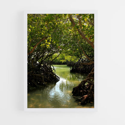 ap-mangrove-1 cadre Blanc