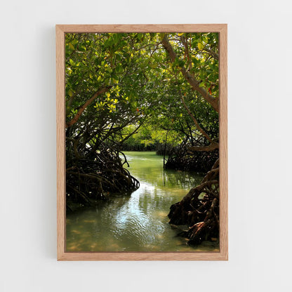 ap-mangrove-1 cadre Bois clair