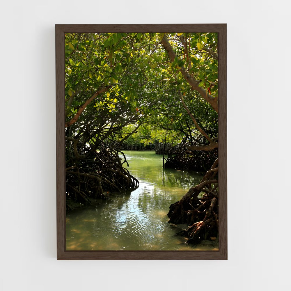 ap-mangrove-1 cadre Bois foncé