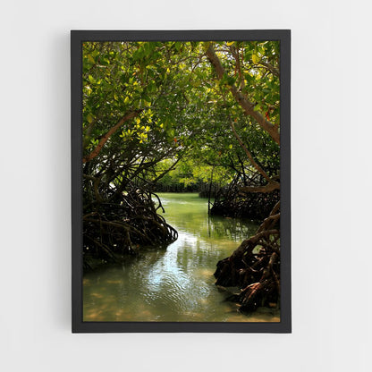 ap-mangrove-1 cadre Noir
