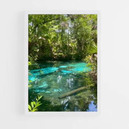ap-mangrove-10 cadre Blanc