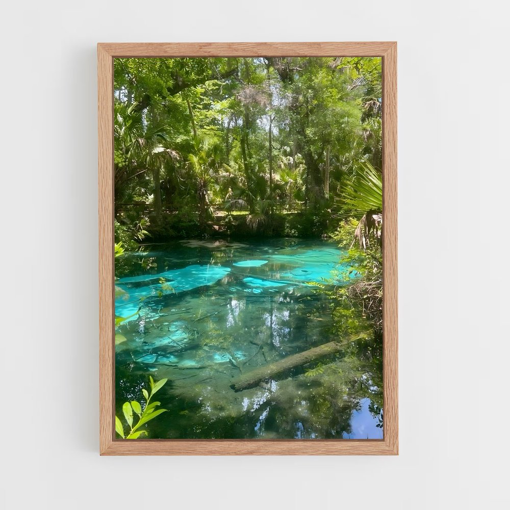 ap-mangrove-10 cadre Bois clair