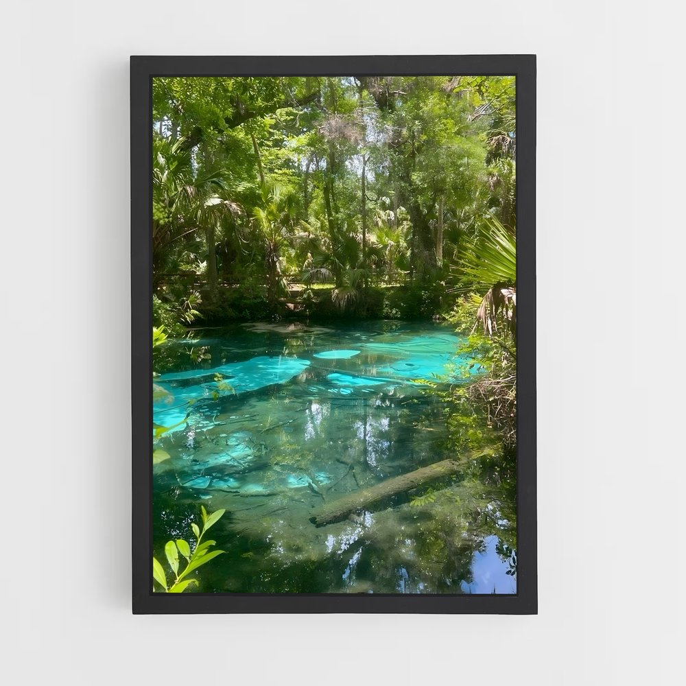 ap-mangrove-10 cadre Noir