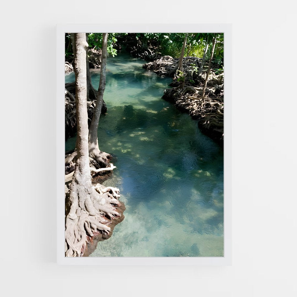 ap-mangrove-11 cadre Blanc