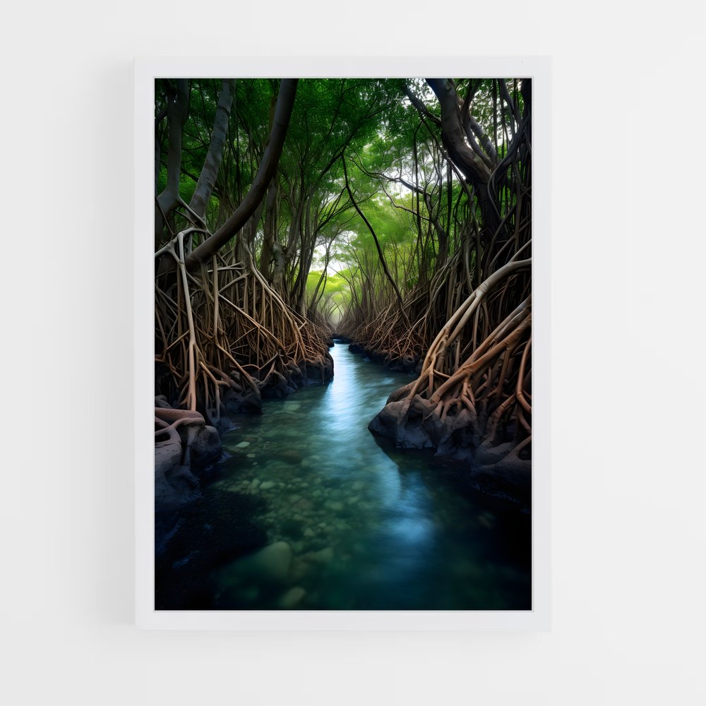 ap-mangrove-12 cadre Blanc