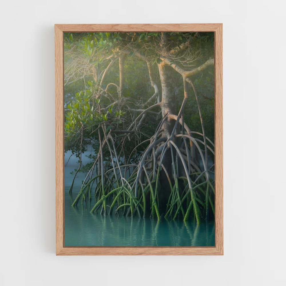 ap-mangrove-13 cadre Bois clair