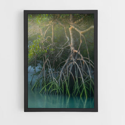 ap-mangrove-13 cadre Noir