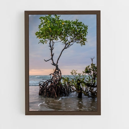 ap-mangrove-14 cadre Bois foncé