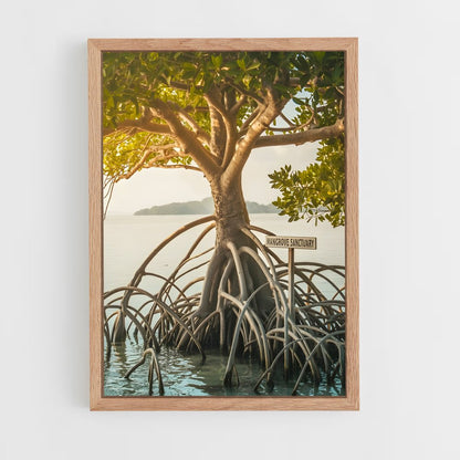 ap-mangrove-15 cadre Bois clair