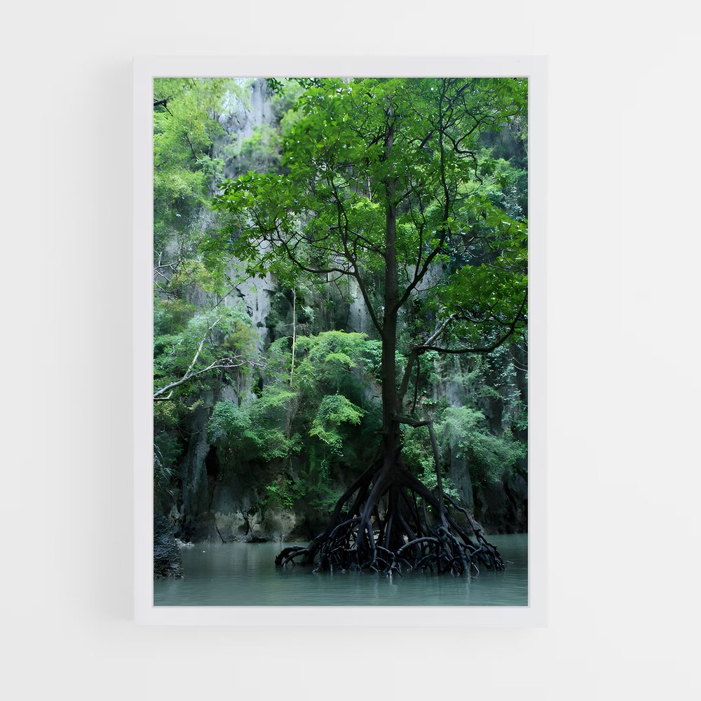 ap-mangrove-16 cadre Blanc