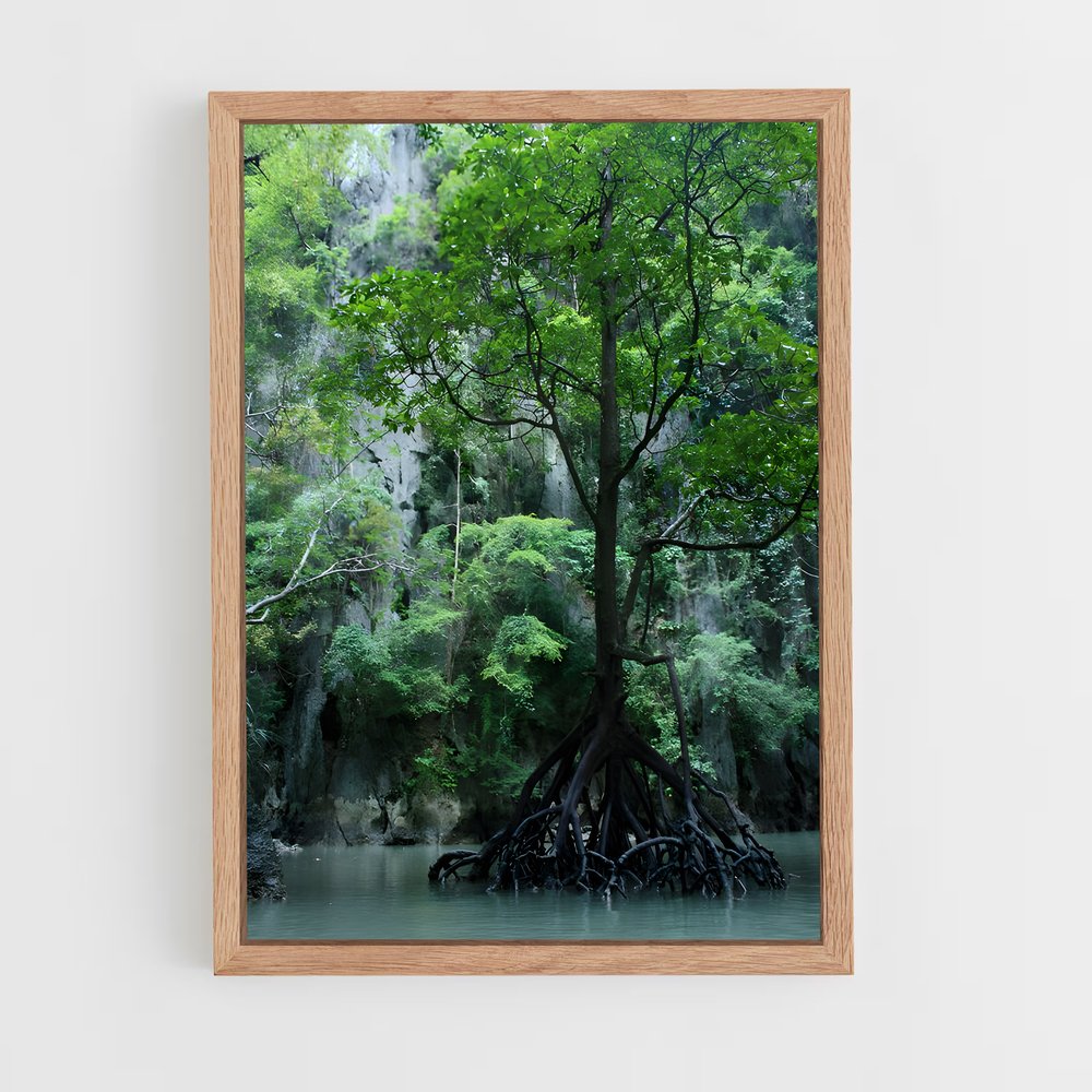 ap-mangrove-16 cadre Bois clair
