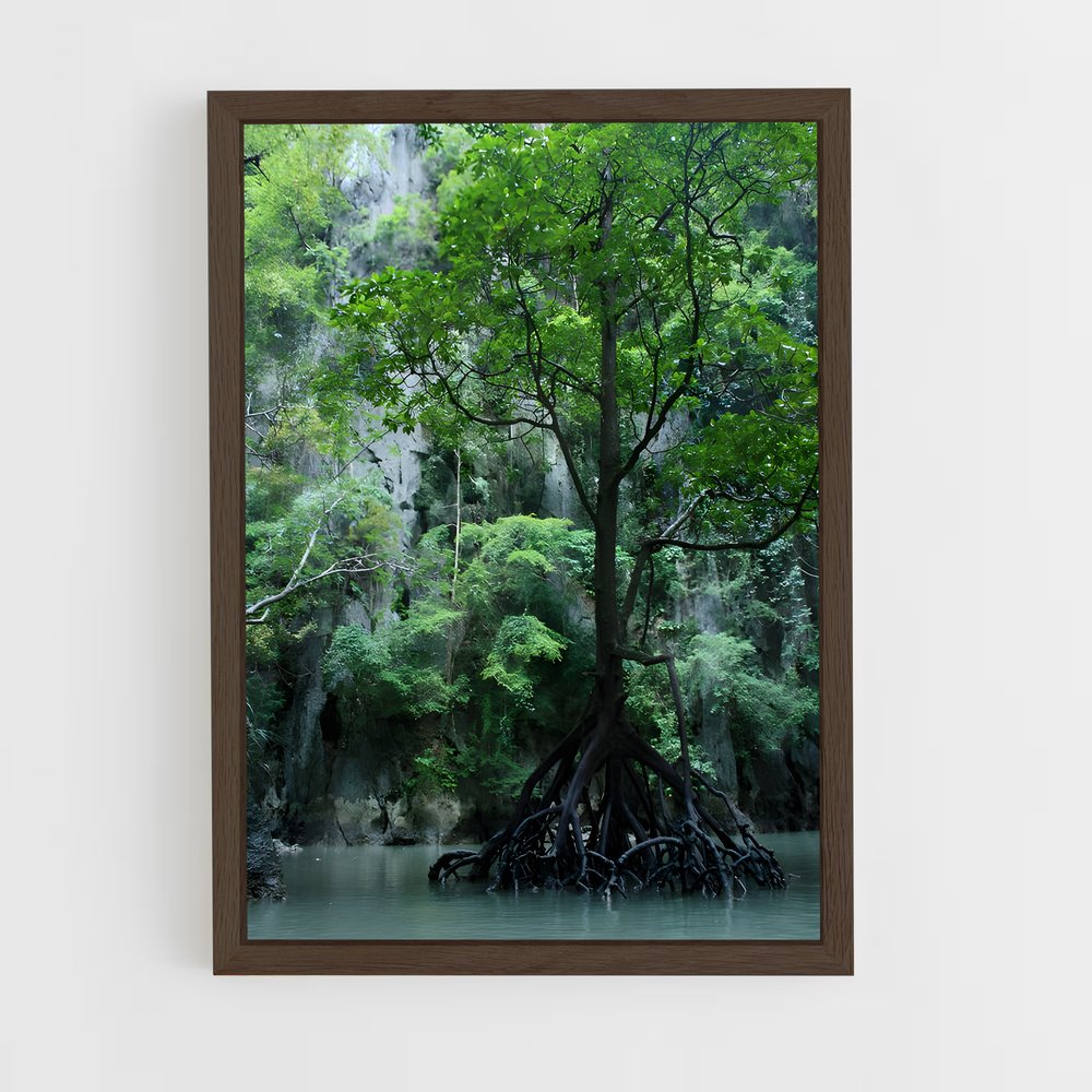 ap-mangrove-16 cadre Bois foncé