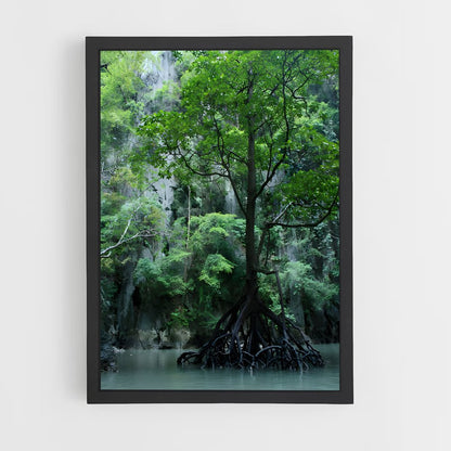 ap-mangrove-16 cadre Noir